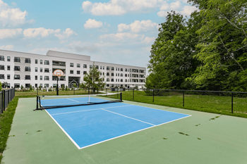 Pickleball & basketball court
